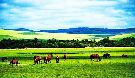 内蒙古，草原之韵与文化魅力展现
