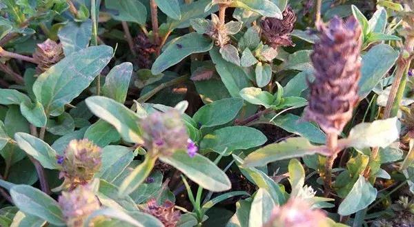 云南,多元文化的交融之地