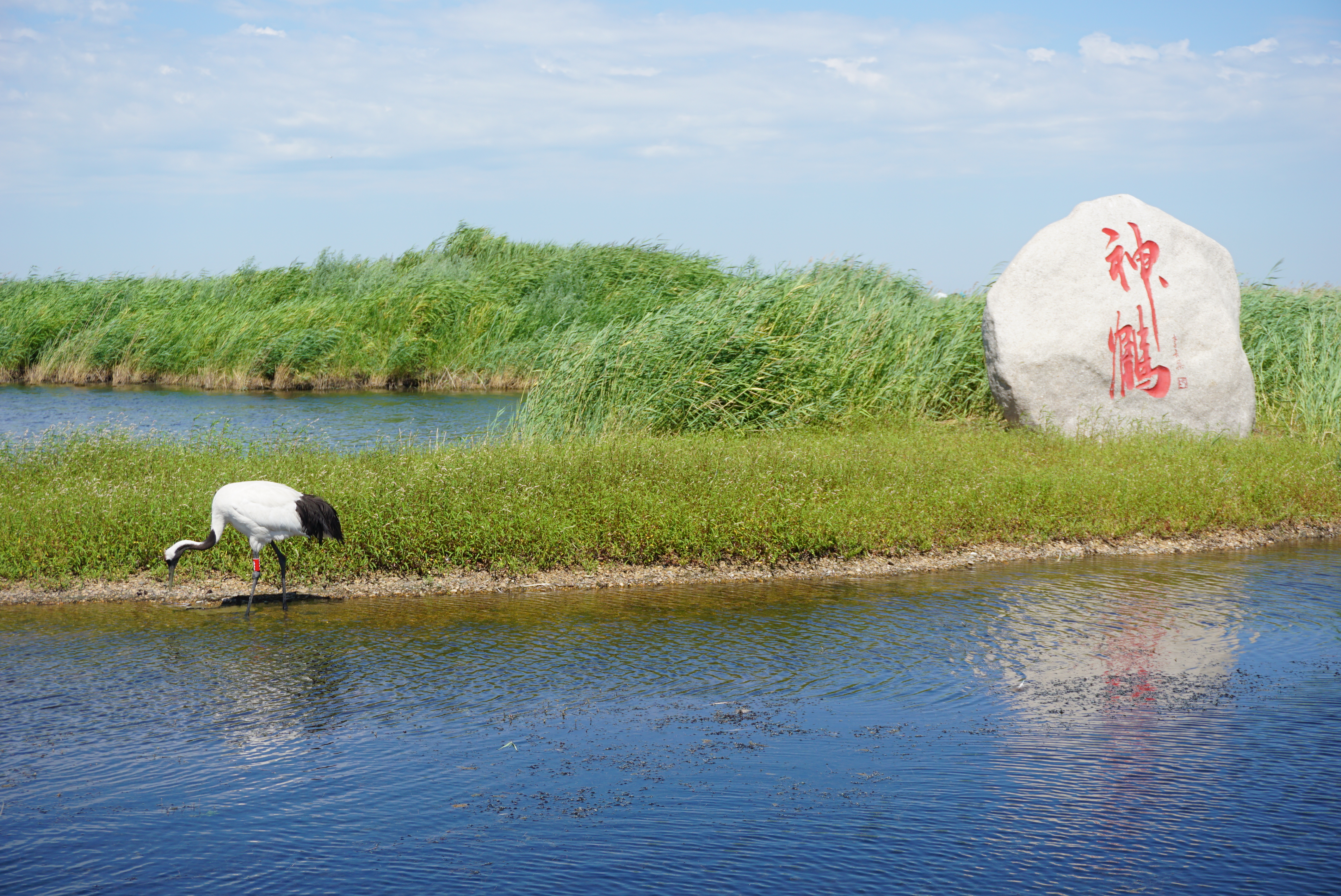 探寻古河东,运城历史文化名城之旅